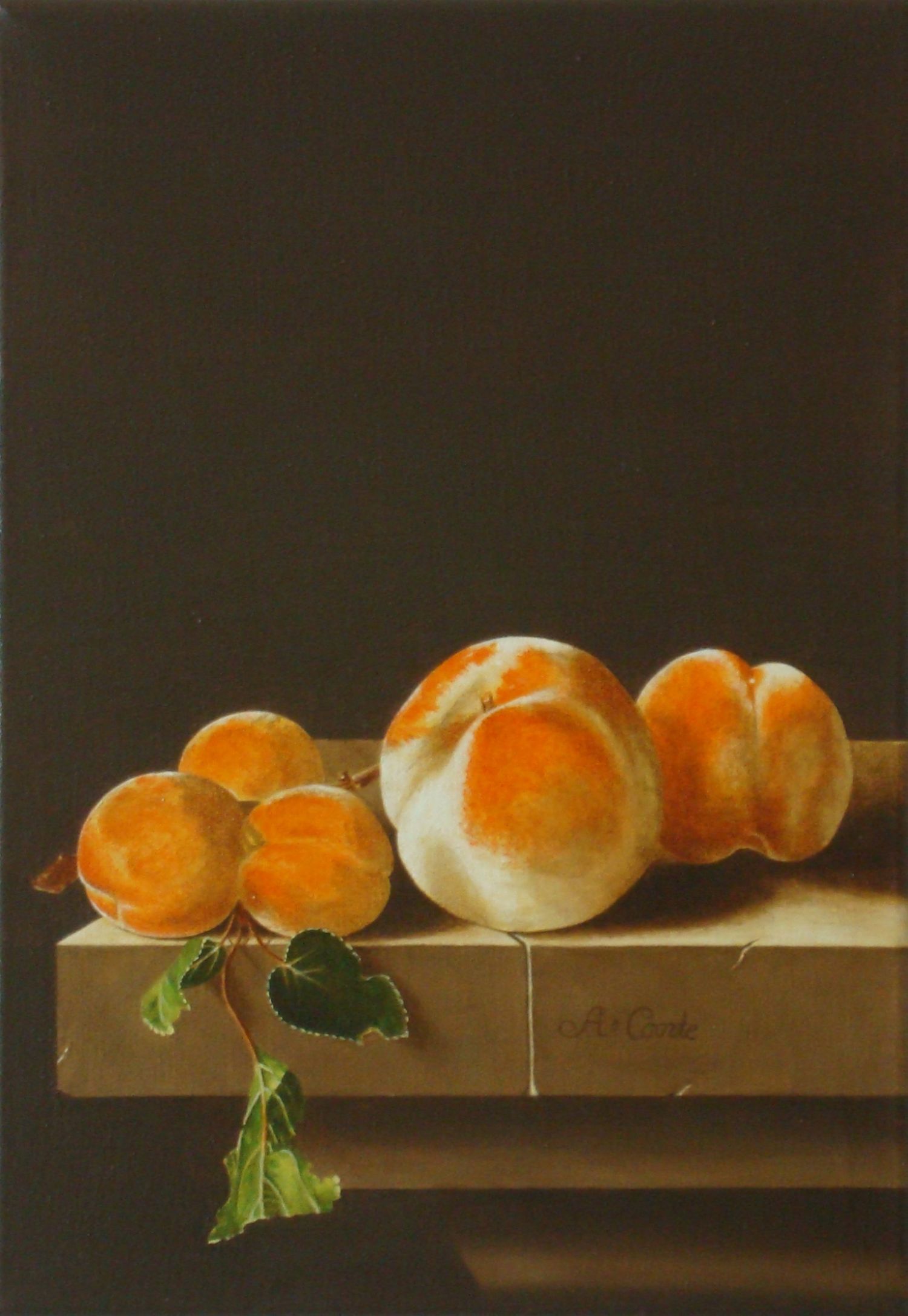 Kopie: Öl auf Leinwand, 36x25 cm, Juli 2009
Original von Adriaen Coorte, "Stillleben mit Pfirsichen und Aprikosen", 1696