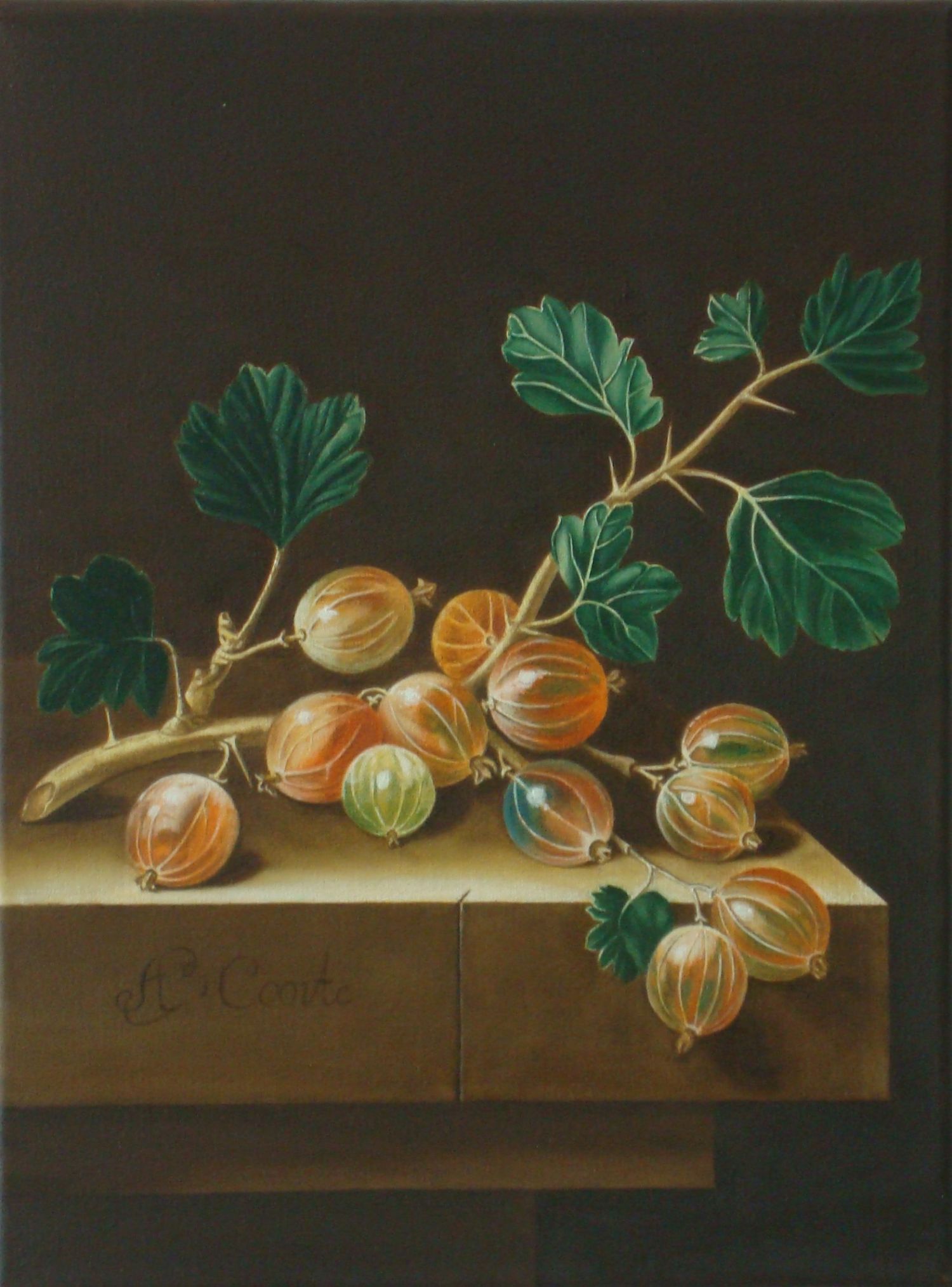 Kopie: Öl auf Leinwand, 34x24 cm, August 2010
Original von Adriaen Coorte, "Stillleben mit einem Zweig Stachelbeeren", ca. 1705