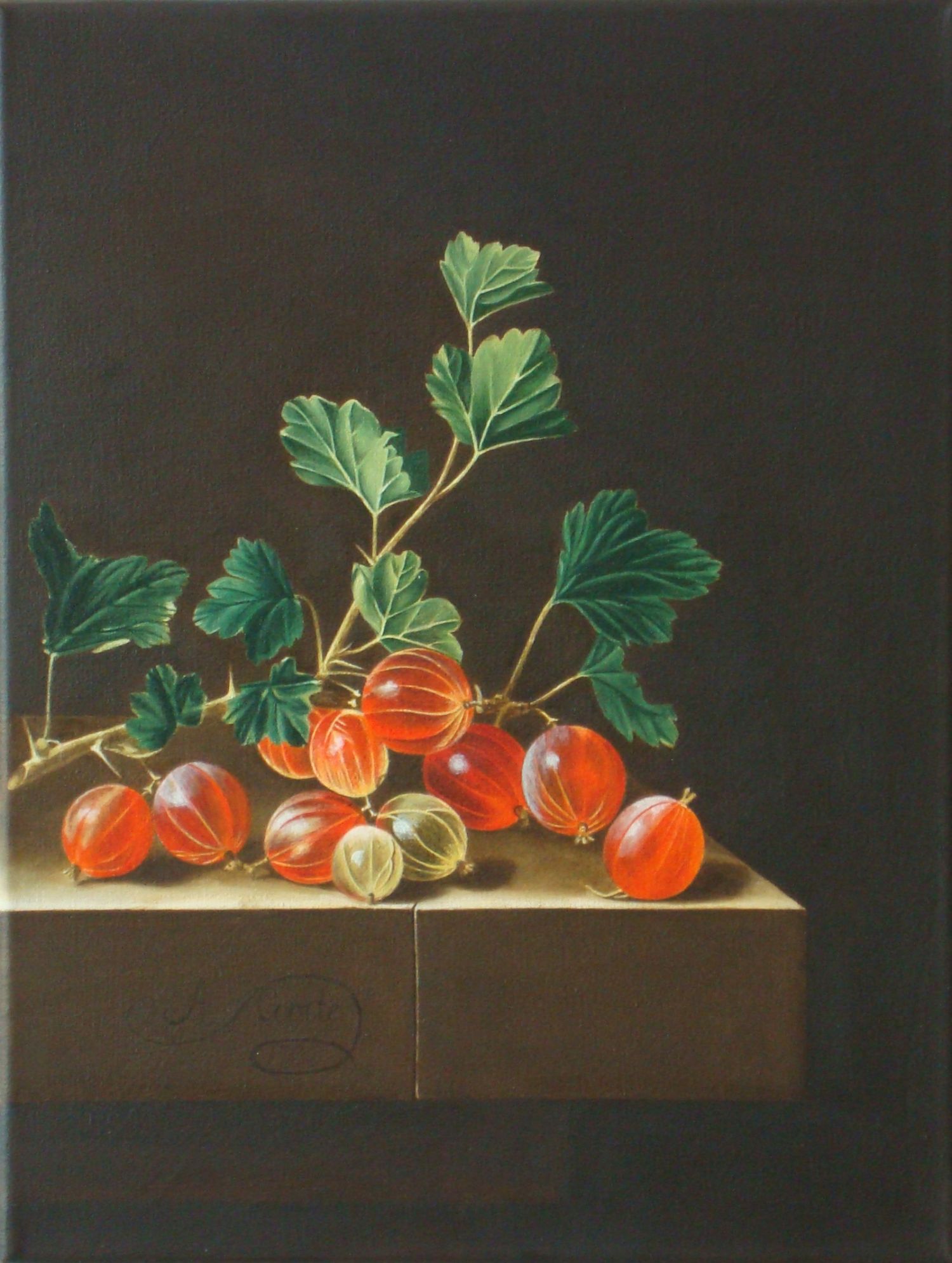Kopie: Öl auf Leinwand, 34x26 cm, August 2010
Original von Adriaen Coorte, "Stillleben mit einem Zweig Stachelbeeren", 1701