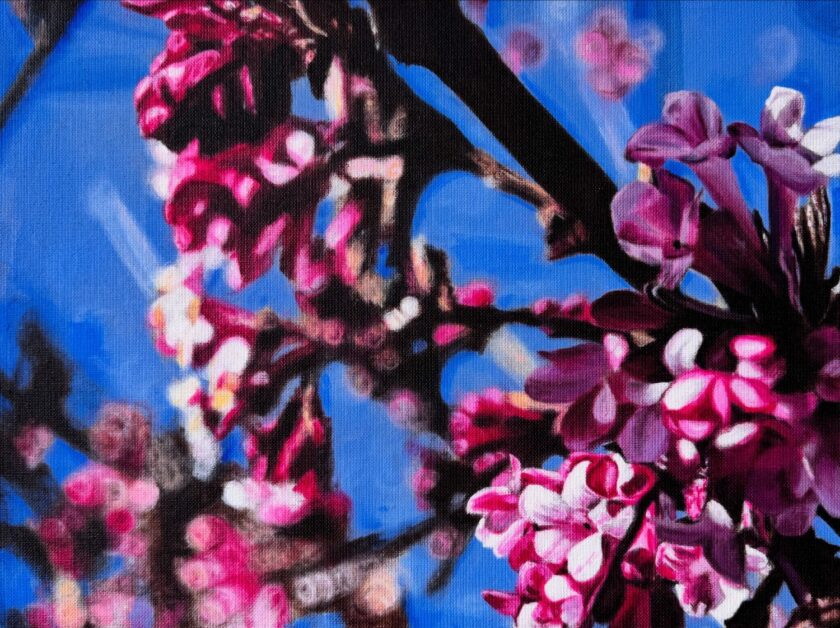 30x40 cm, Öl auf Malplatte, Mai 2025