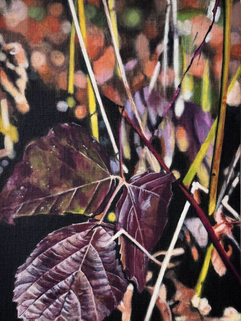 40x30 cm, Öl auf Malplatte, März 2025