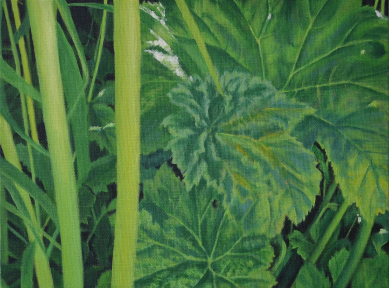 30x40 cm, Öl auf Malplatte, Januar 2022