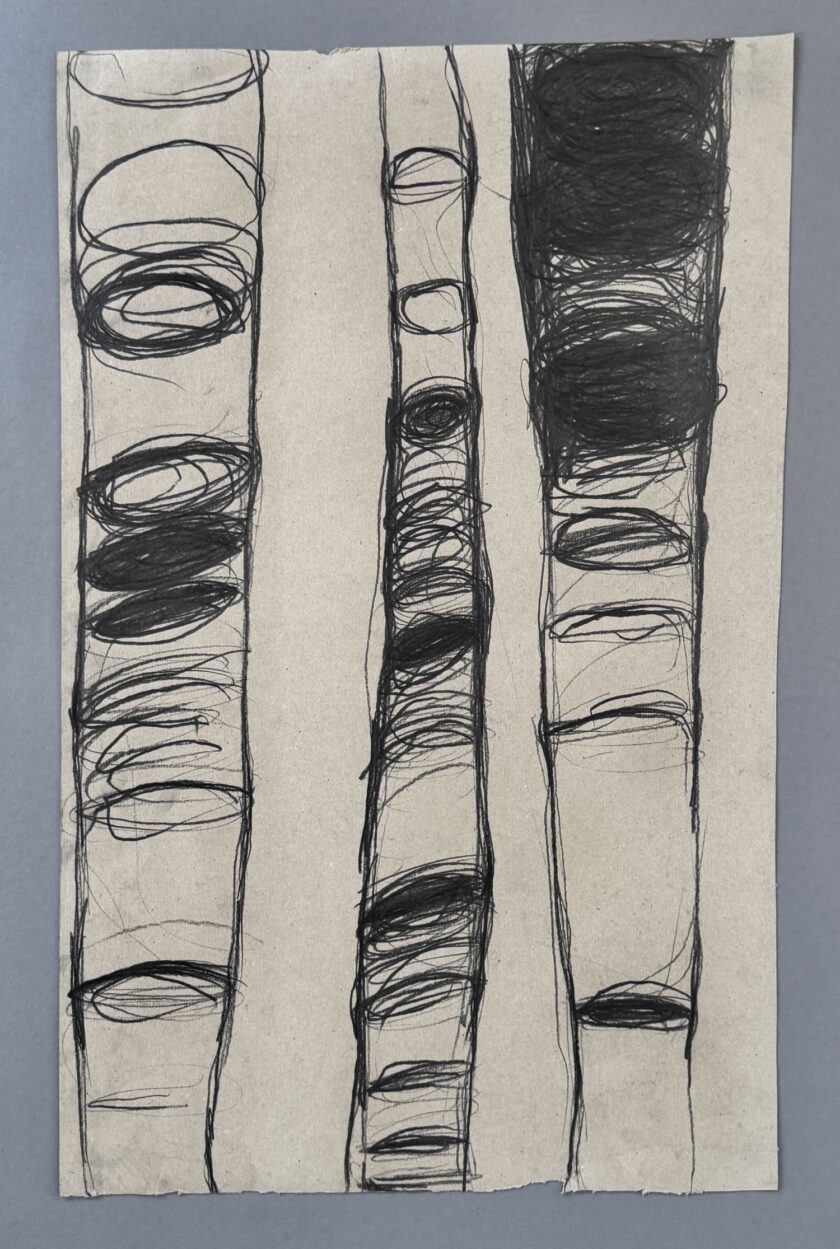 80x50 cm, Grafit auf Halbkarton, November 1995