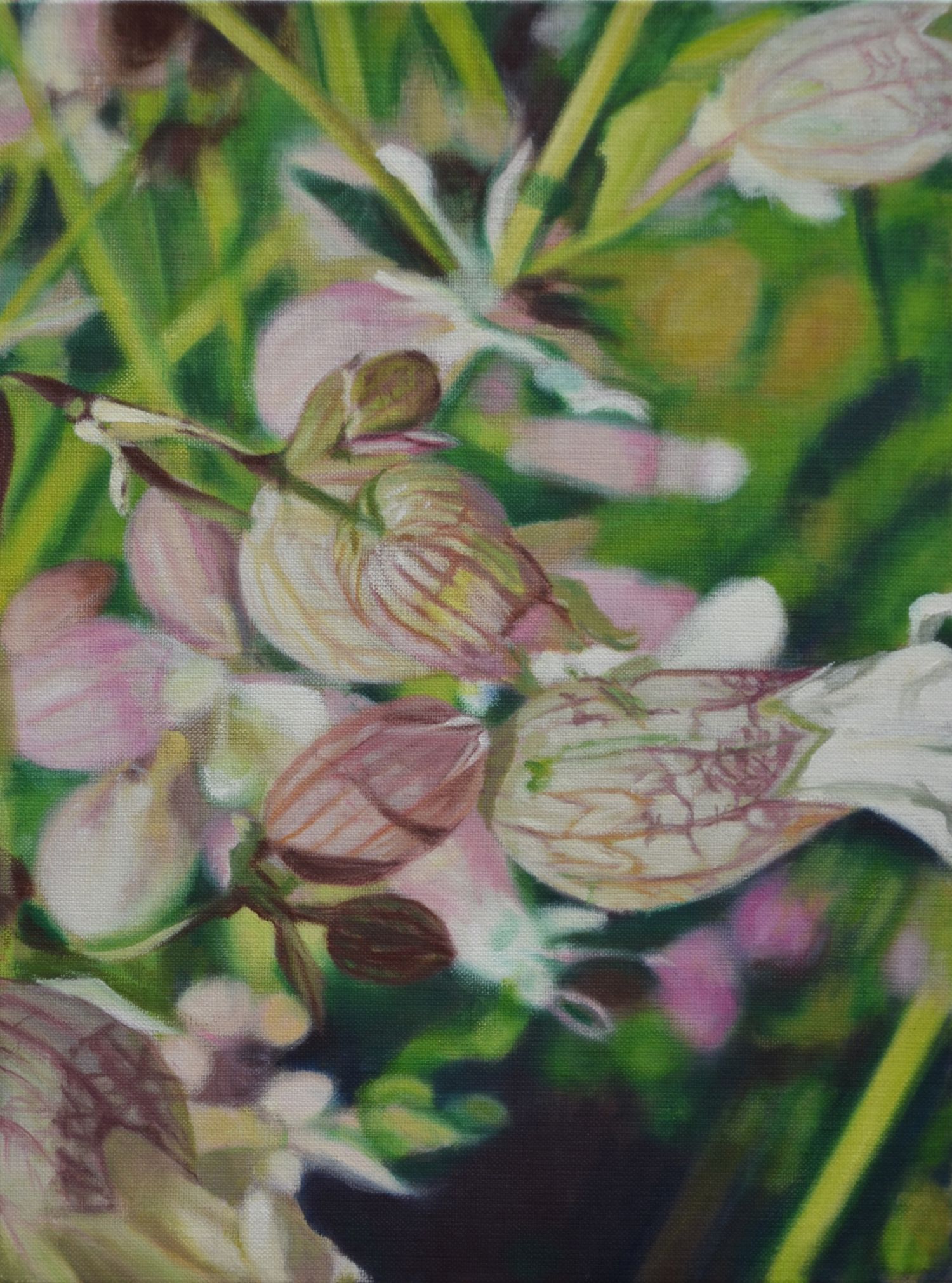 40x30 cm, Öl auf Malplatte, Dezember 2020