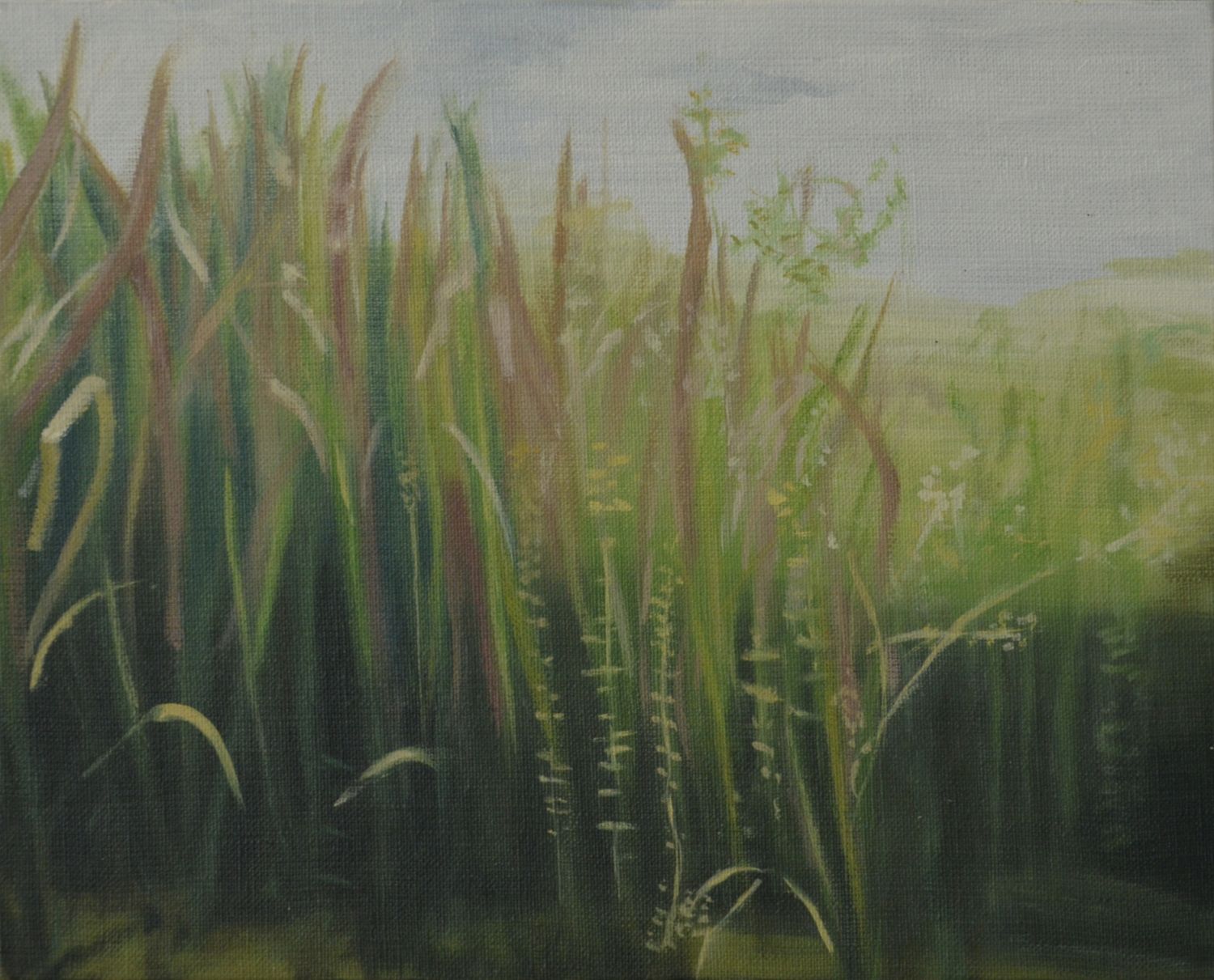 24x30 cm, Öl auf Malplatte, September 2016