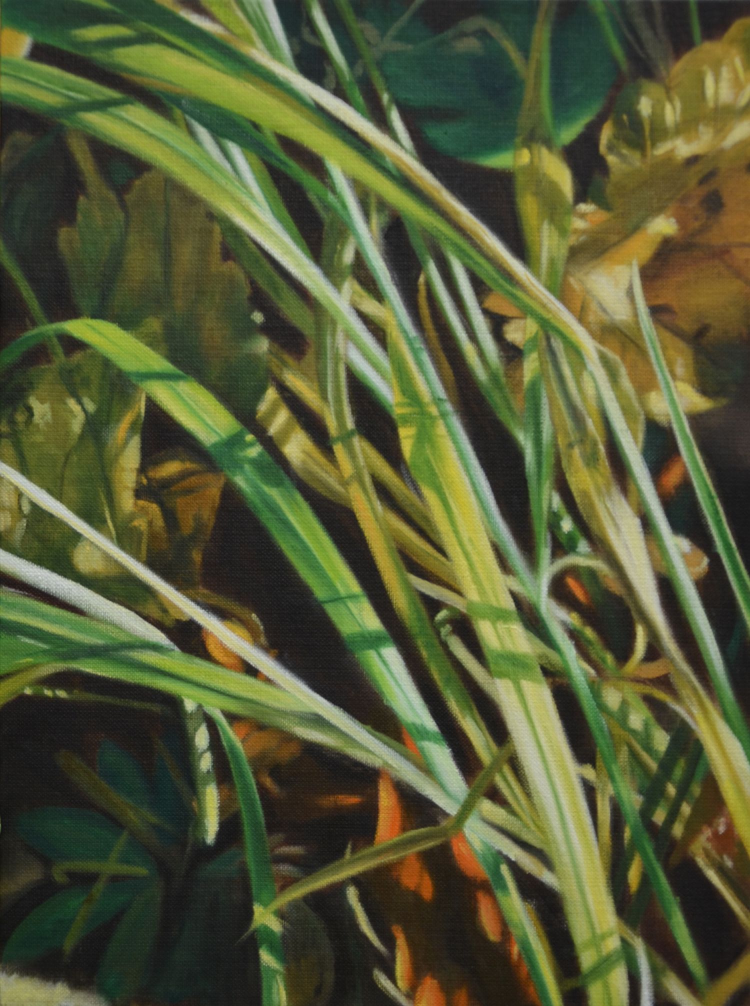 40x30 cm, Öl auf Malplatte, Oktober 2020